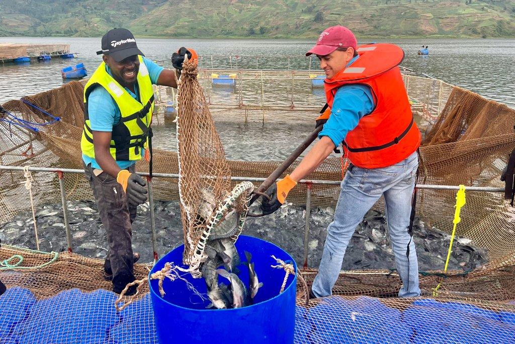 Production Farm Image 1